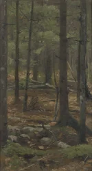 Dans la forêt de Rominten